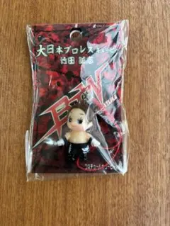 【未開封】大日本プロレスで販売　竹田 誠志　キューピー — image 1