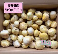 長野県産 ジャンボニンニク 3kg — image 1
