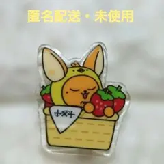 All MOA様 リクエスト 2点 まとめ商品 — image 1