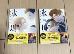 氷の城壁 阿賀沢紅茶 著 漫画　コミック　12巻　13巻 — image 1