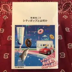 シティポップとは何か 柴崎祐二 — image 1