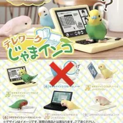 テレワークじゃまインコ 5種類 インコ パソコン ガチャ — image 1