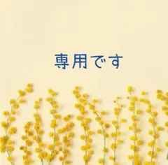 てんまま様専用 — image 1