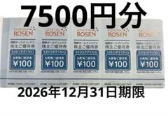 迅速発送　最新版　7500円分　相鉄ローゼン　相鉄　株主優待　買い物ご優待券 n — image 1