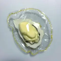 生牡蠣スクイーズ — image 1