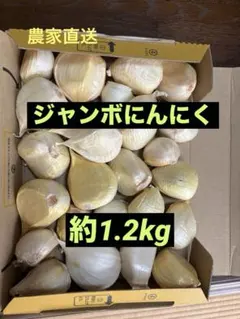 ジャンボニンニク(期間限定約1.2kg) — image 1