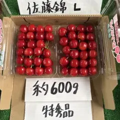 佐藤錦 Lサイズ 600g入り 特秀◎本日おすすめ品 — image 1