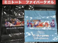 B’z FYOP naked ガチャ ミニトート　ファイバータオル　2点 — image 1