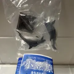 ネイチャーテクニカラー 小笠原特装版 ミナミハンドウイルカ — image 1