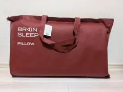 BRAIN SLEEP PILLOW / STANDARD（ピローカバー付） — image 1