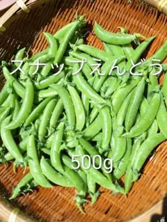 スナップえんどう 500g 新鮮野菜 — image 1