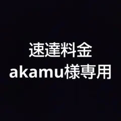 速達料金　akamu様専用 — image 1
