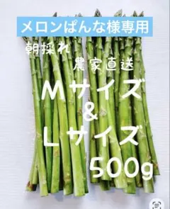 朝採れ　農家直送　アスパラ　アスパラガス　500g — image 1