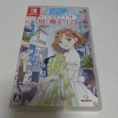 マジカルクラフト 猫と魔法のドレス Switch ソフト — image 1