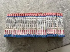 天は赤い河のほとり　全巻28巻セット — image 1