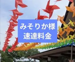 速達料金◆みそりか様 専用 — image 1