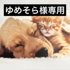 ゆめそら様専用 — image 1