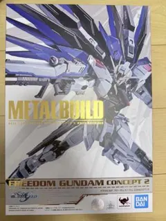 METAL BUILD フリーダムガンダム CONCEPT 2 — image 1