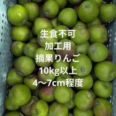 nholieu98様 専用 — image 1