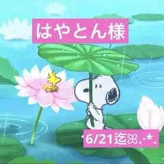 はやとん様 専用ページ — image 1