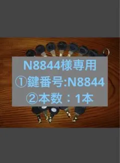N8844様専用 ①鍵番号:N8844 ②本数：1本 — image 1