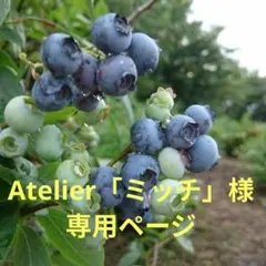 Atelier「ミッチ」様☆専用ページ — image 1