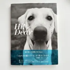 【帯付】奥村康人 写真集『Hi! Dear』犬 フォトブック インテリア — image 1