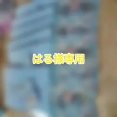 はる様専用 — image 1