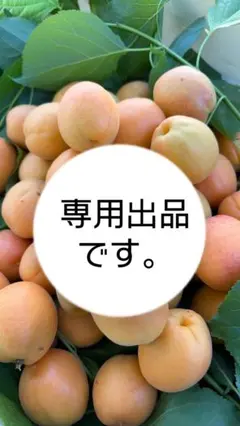 専用出品 — image 1