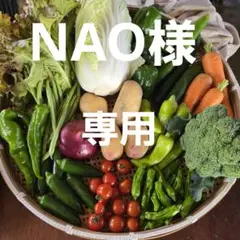 NAO 様専用ページです。 — image 1