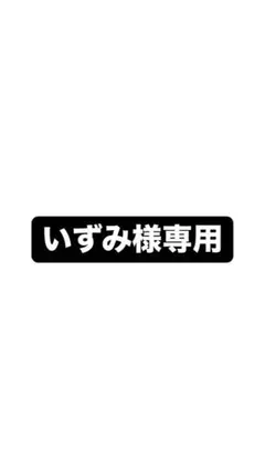 いずみ様専用 — image 1