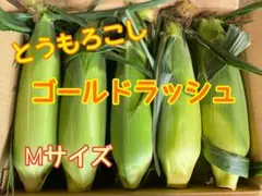 6/22収穫分　タイムセール　とうもろこし5本　M〜ᒪサイズ　ゴールドラッシュ — image 1