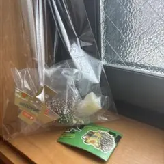 Zoo Delivery ズーデリバリー ヘッジホッグ — image 1