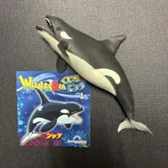 シャチ　ブックレット くじら　&co デアゴスティーニ　アンドコ — image 1
