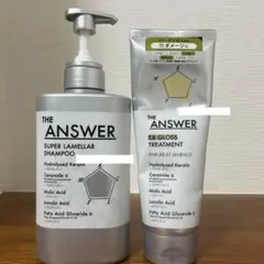 THE ANSWER シャンプー＆トリートメントセット — image 1