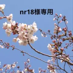 nr18様専用 — image 1