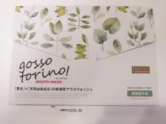 【新品未使用】即日発送 ゴッソトリノ マウスウォッシュ ハーブミント 30包 — image 1