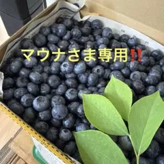 マウナさま専用です‼️ — image 1