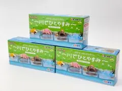 ポケモンのんびりタイム～川でひとやすみ～ BOX ビッパのみ — image 1