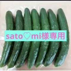 sato♡mi様専用 — image 1