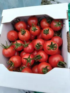mako様専用です。 — image 1