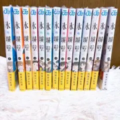 氷の城壁 全14巻セット 阿賀沢紅茶 — image 1