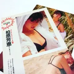 柏原芳恵 '84 グラビア切り抜き２枚 — image 1