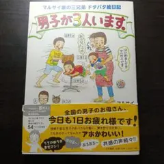 男子が3人います。 マルサイ家の三兄弟 ドタバタ絵日記 — image 1