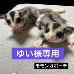ゆい様専用 — image 1