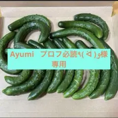 Ayumi プロフ必読٩( ᐛ )و様専用 — image 1