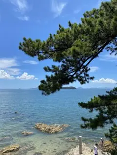 KEN様専用 — image 1