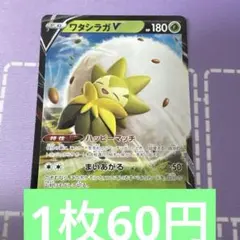 ワタシラガv rr 特価　残1 — image 1