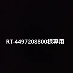 RT-4497208800様専用 — image 1