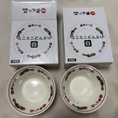 【匿名配送】天下一品 ミニミニどんぶり 2個セット — image 1